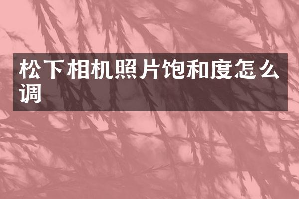 相机照片饱和度怎么调