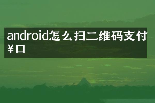 android怎么扫二维码支付接口