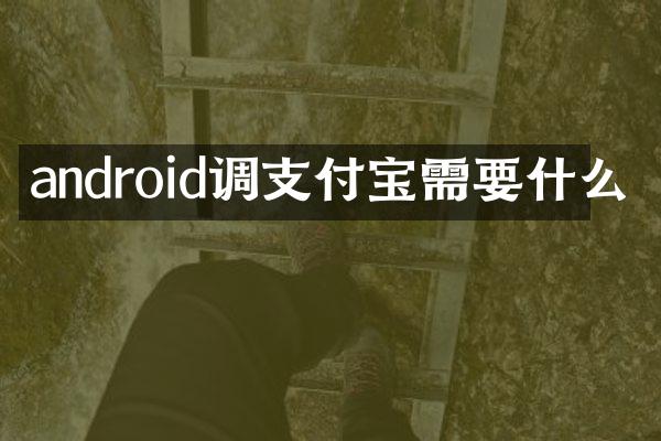 android调支付宝需要什么