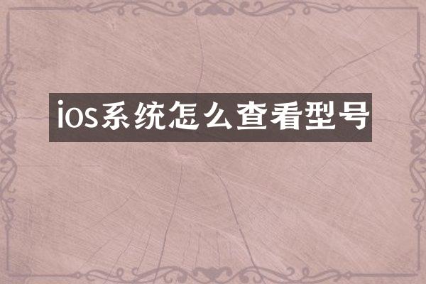 ios系统怎么查看型号