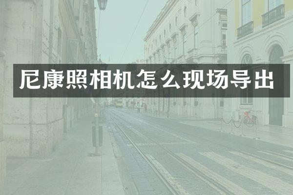 尼康照相机怎么现场导出