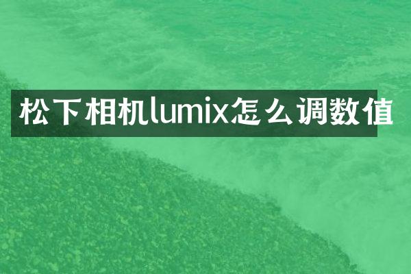 相机lumix怎么调数值
