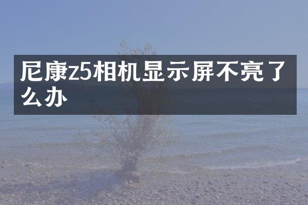 尼康z5相机显示屏不亮了怎么办