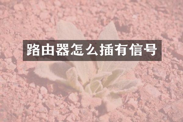 路由器怎么插有信号