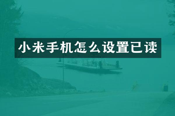 小米手机怎么设置已读