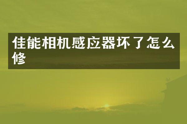 佳能相机感应器坏了怎么修