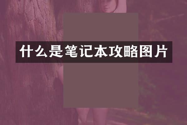 什么是笔记本攻略图片