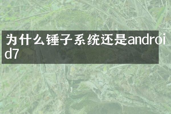 为什么锤子系统还是android7