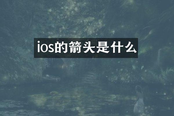 ios的箭头是什么