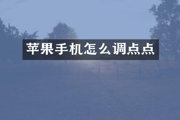 苹果手机怎么调点点