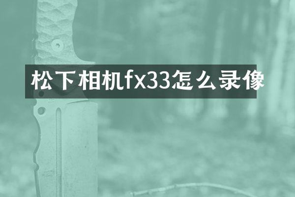 相机fx33怎么录像