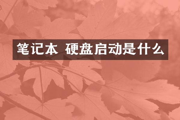 笔记本 硬盘启动是什么