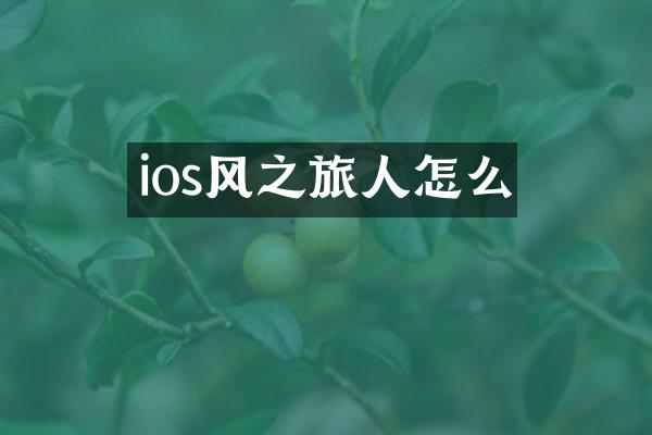 ios风之旅人怎么