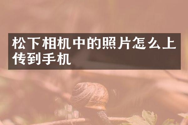 相机中的照片怎么上传到手机