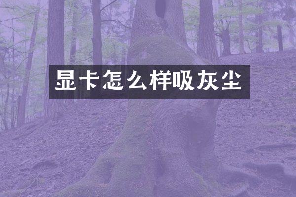 显卡怎么样吸灰尘