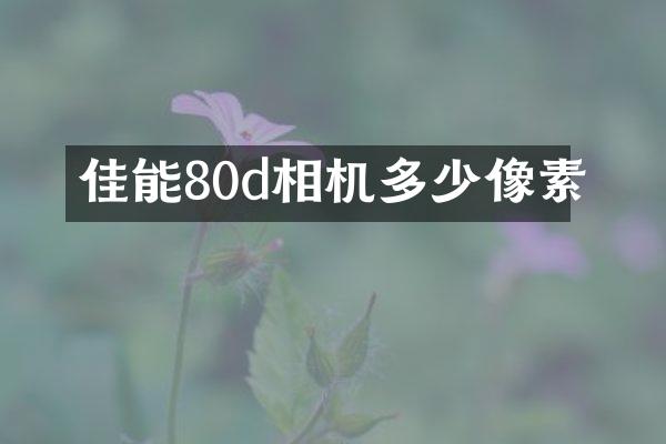 佳能80d相机多少像素