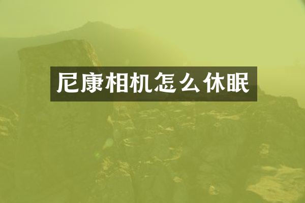 尼康相机怎么休眠