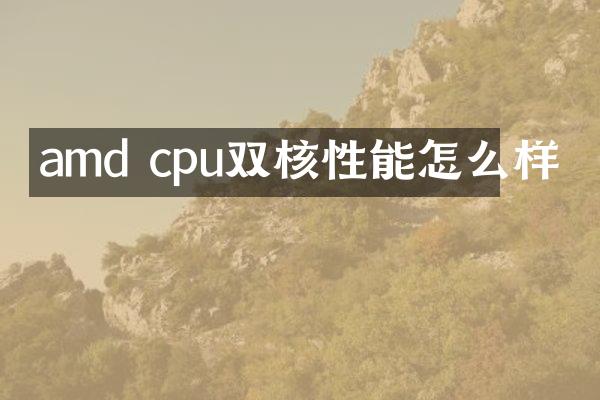 amd cpu双核性能怎么样