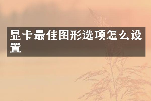 显卡最佳图形选项怎么设置