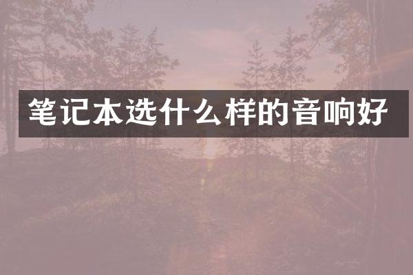 笔记本选什么样的音响好