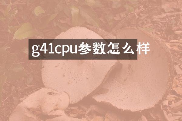 g41cpu参数怎么样