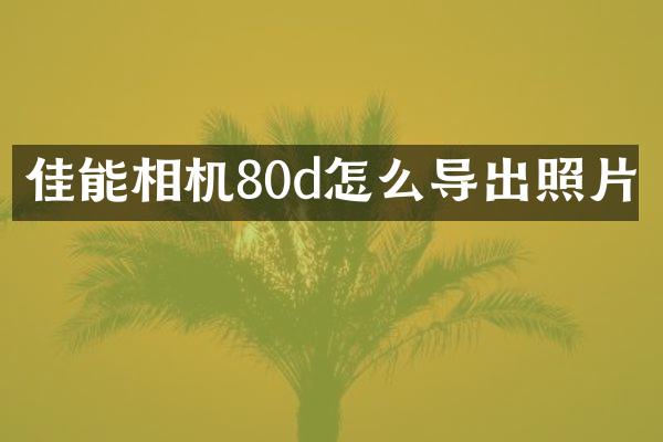 佳能相机80d怎么导出照片