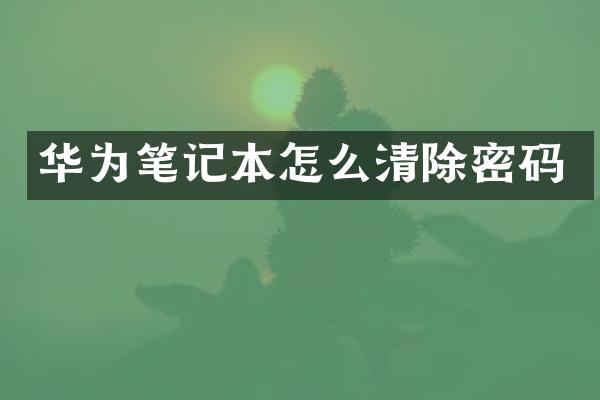 华为笔记本怎么清除密码