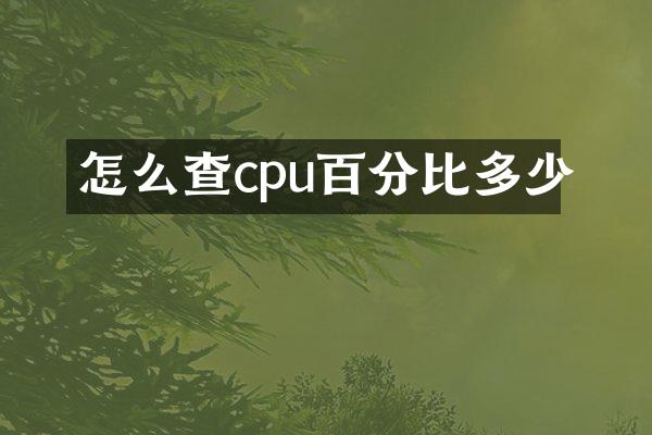 怎么查cpu百分比多少