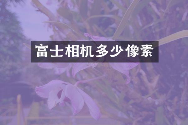 富士相机多少像素