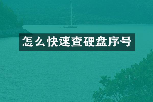怎么快速查硬盘序号
