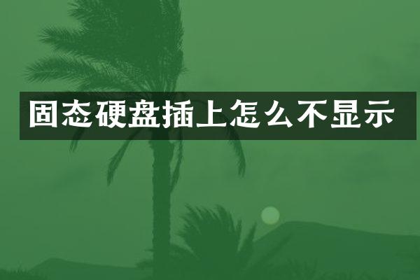 固态硬盘插上怎么不显示