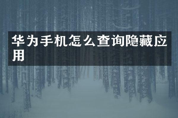 华为手机怎么查询隐藏应用