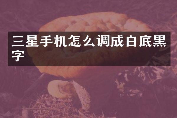 三星手机怎么调成白底黑字