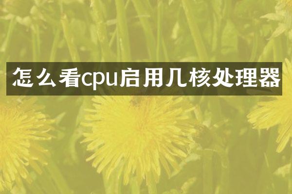 怎么看cpu启用几核处理器