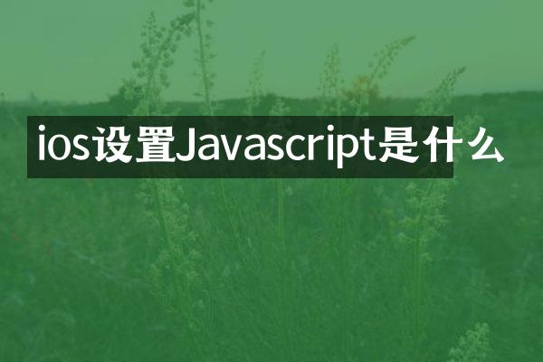 ios设置Javascript是什么