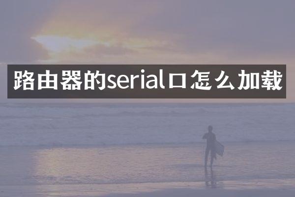 路由器的serial口怎么加载