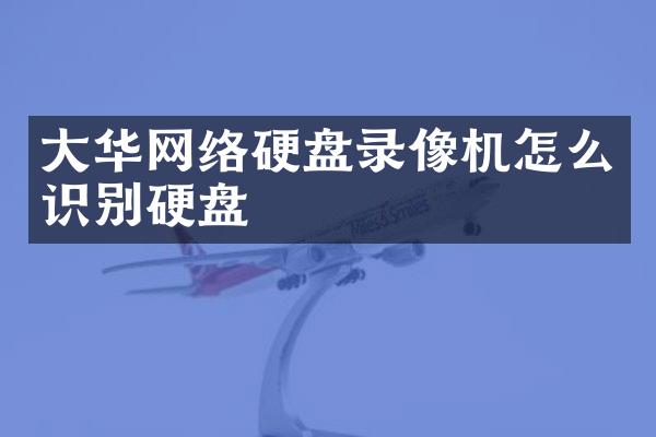 大华网络硬盘录像机怎么识别硬盘