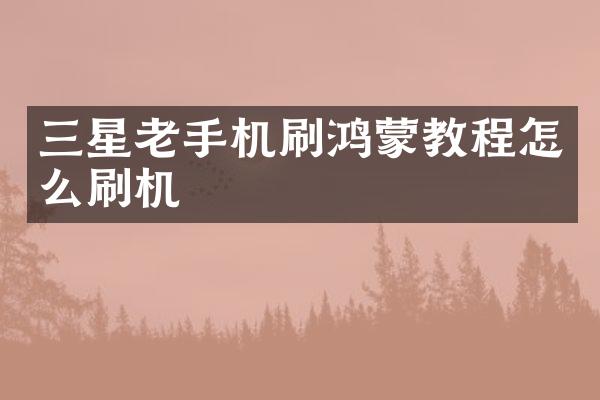 三星老手机刷鸿蒙教程怎么刷机