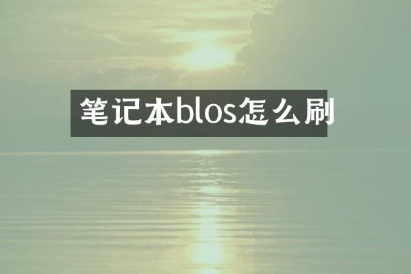 笔记本blos怎么刷