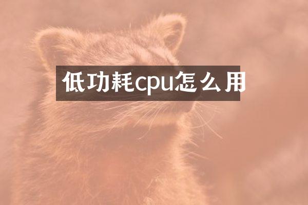 低功耗cpu怎么用