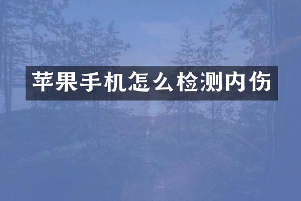 苹果手机怎么检测内伤
