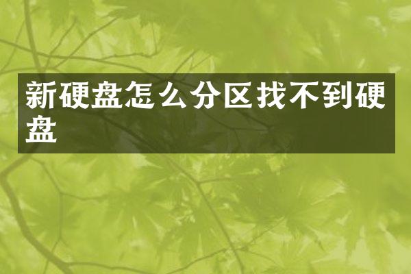 新硬盘怎么分区找不到硬盘
