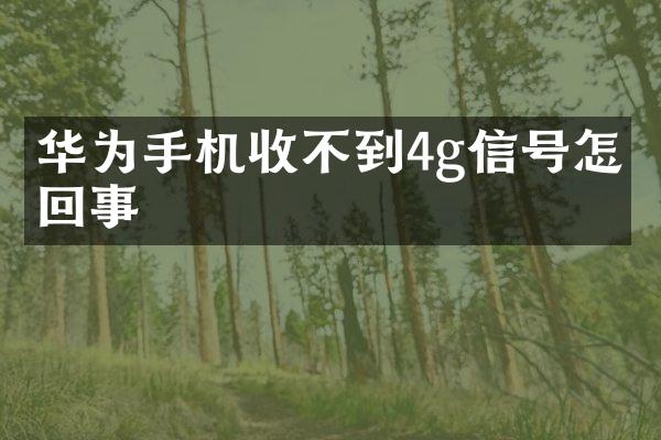 华为手机收不到4g信号怎么回事