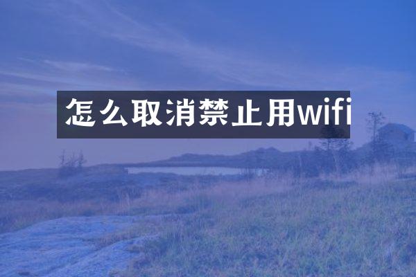 怎么取消禁止用wifi