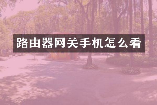 路由器网关手机怎么看