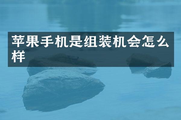 苹果手机是组装机会怎么样