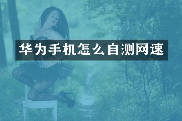 华为手机怎么自测网速