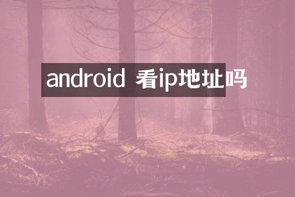 android 看ip地址吗