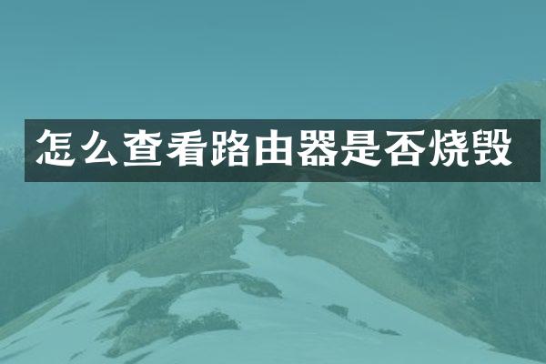 怎么查看路由器是否烧毁