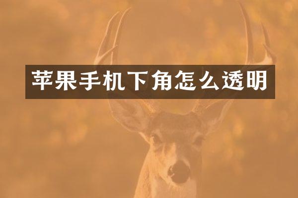 苹果手机下角怎么透明